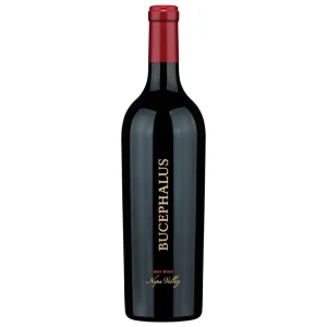 Black Stallion Bucephalus 2018