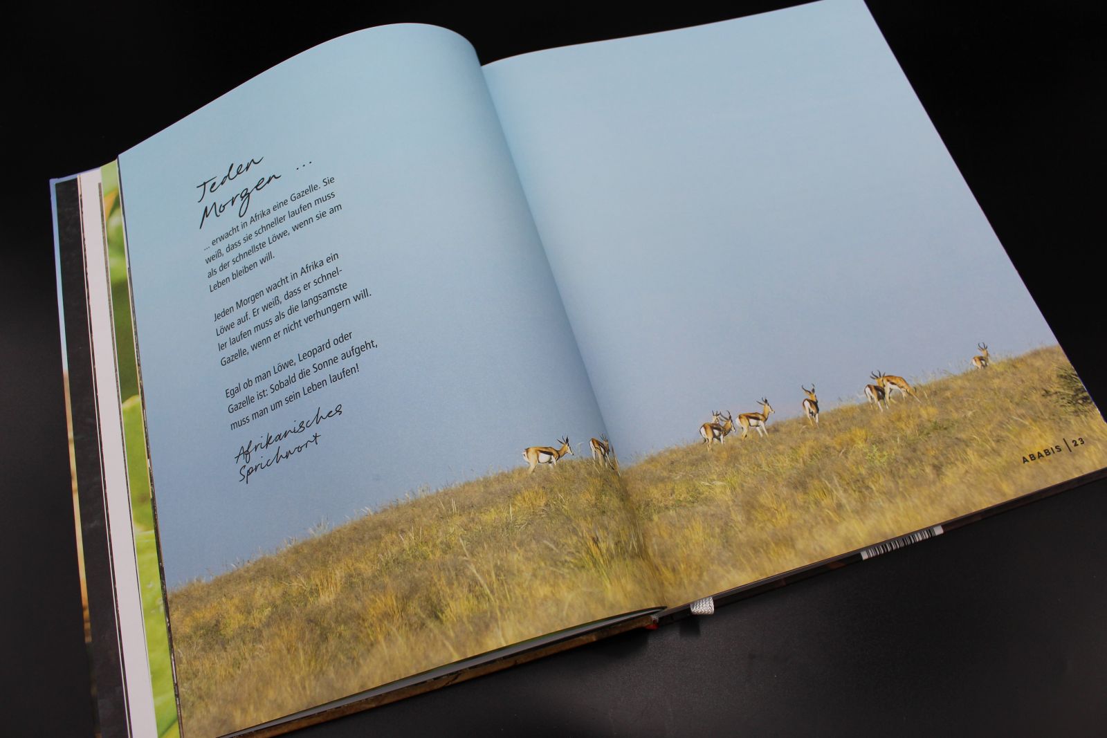 Kochbuch „LEKKER!“ – Bild 6