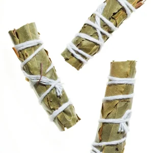 Bouquet Garni – Gewürzstrauß