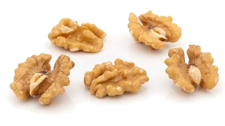 Walnusskerne aus Chile – handverlesen